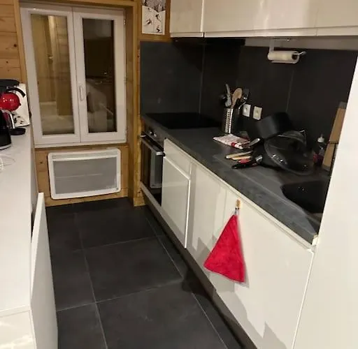 Emplacement Ideal Famille Succes Et Cosy Daire Les Deux Alpes