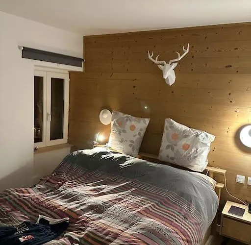 Emplacement Ideal Famille Succes Et Cosy Les Deux Alpes